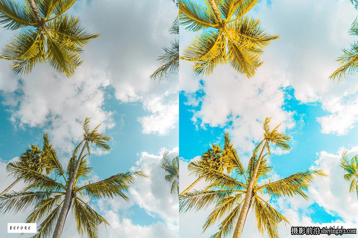 网红旅拍电影风光Lightroom预设 Tropical Premium Lightroom Presets