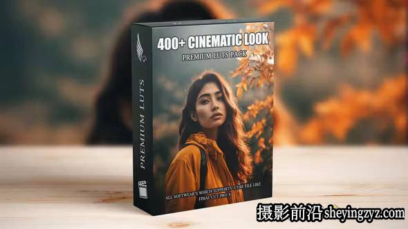400种电影制作人电影大片后期调色LUT预设 支持/FCPX/PR/达芬奇/PS/AAAPresets