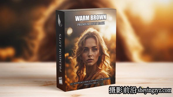 黄金时间电影调色LUT预设支持/FCPX/PR/达芬奇/PS/AAAPresets