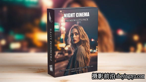 城市夜景电影调色LUT预设支持/FCPX/PR/达芬奇/PS/AAAPresets