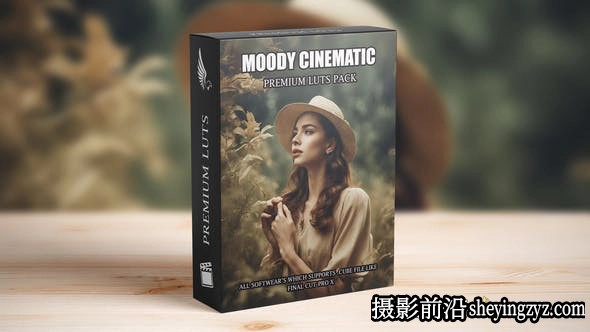 城市街头电影大片调色LUT预设支持/FCPX/PR/达芬奇/PS/AAAPresets