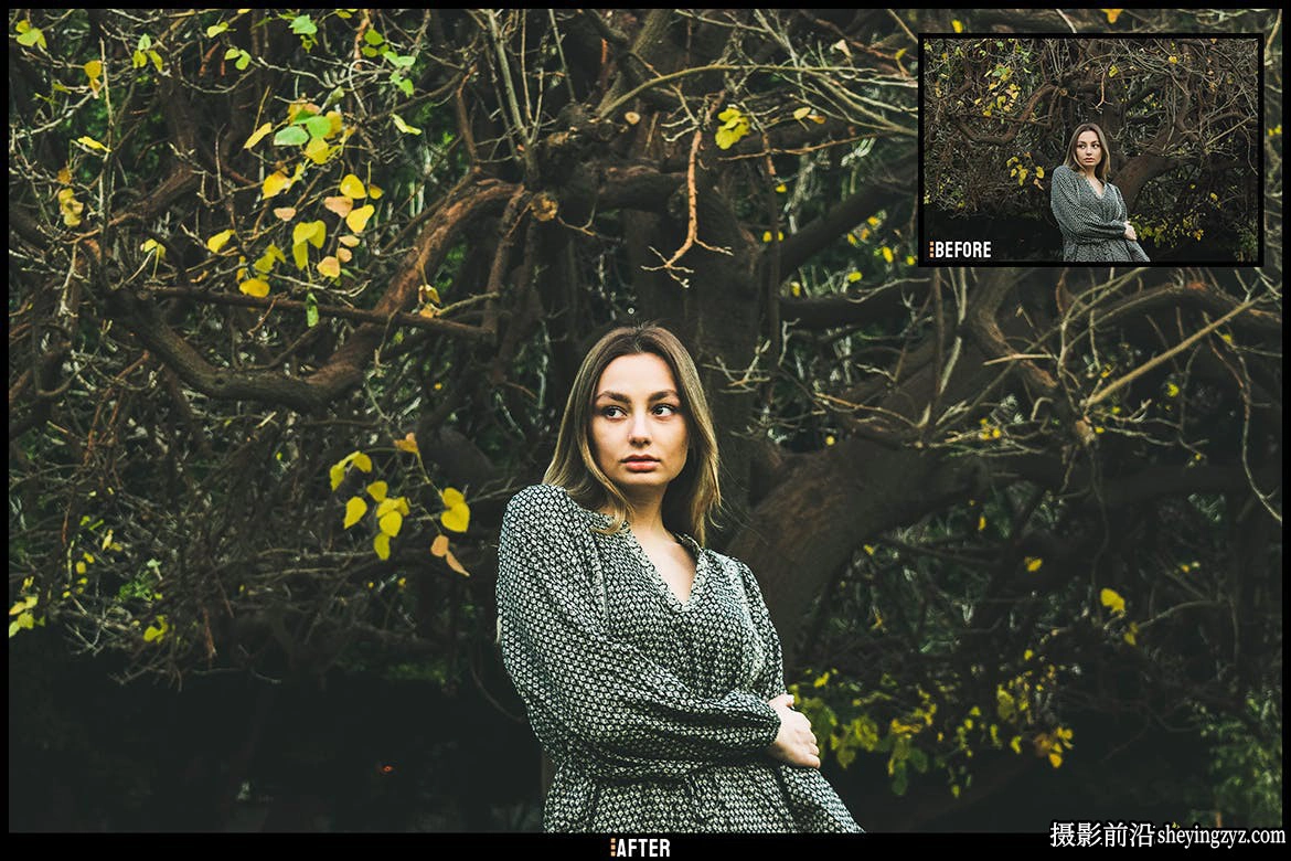 HDR电影胶片Lr预设及ACR预设 HDR Matte-Lightroom Presets