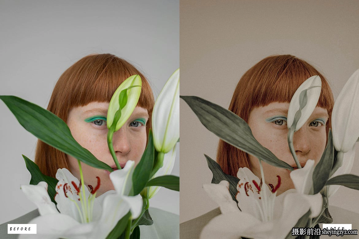 12种免费老式复古胶片lr预设 Retro Vintage Lightroom Presets