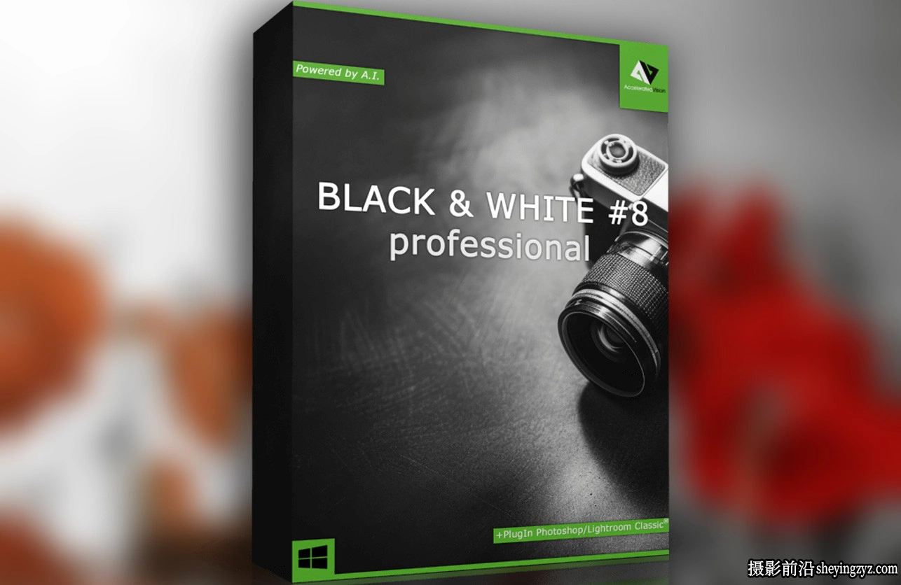 黑白胶片插件Franzis BLACK WHITE #8 professional 8.25汉化版