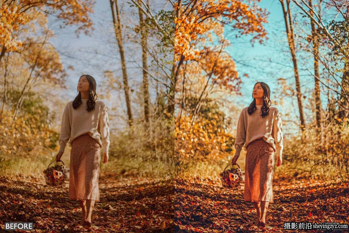 最佳秋季图像后期调色Llr预设及手机版lr预设 Best FALL PRESETS