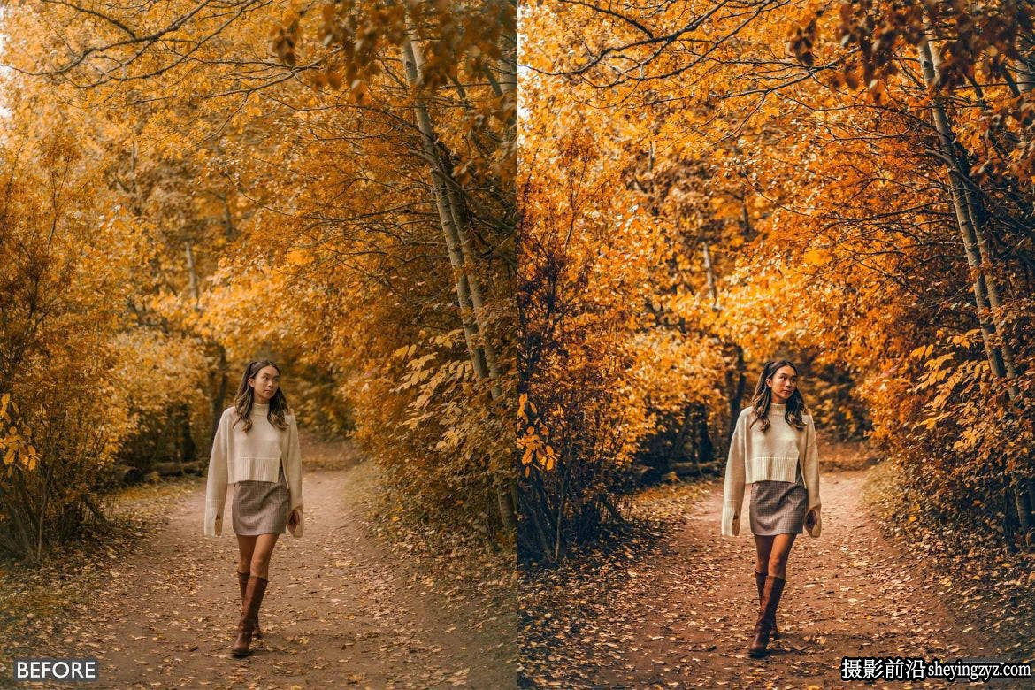 最佳秋季图像后期调色Llr预设及手机版lr预设 Best FALL PRESETS