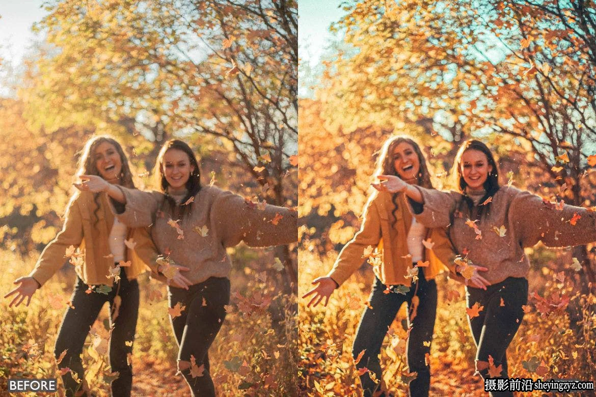 最佳秋季图像后期调色Llr预设及手机版lr预设 Best FALL PRESETS