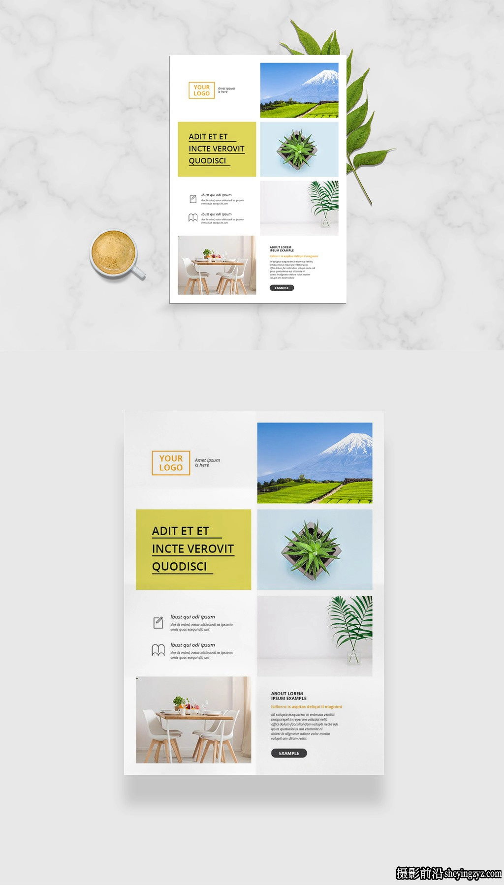 组团摄影传单宣传排版布局InDesign模板