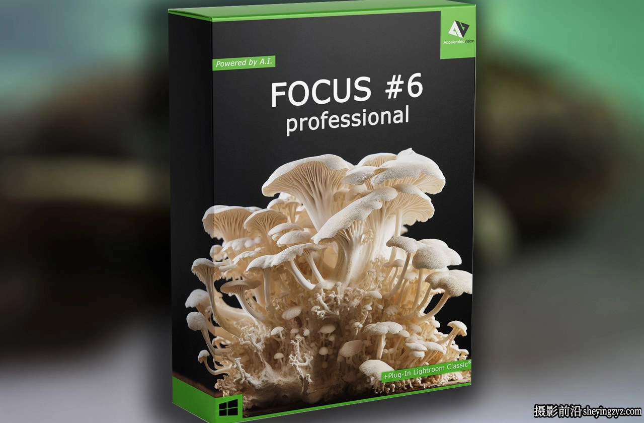 微距焦点堆栈插件Franzis FOCUS projects professional v6.13汉化版