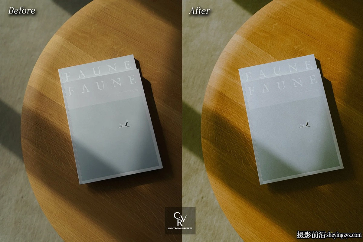 10种电影胶片模拟Lightroom预设 Analog Film Lightroom Presets