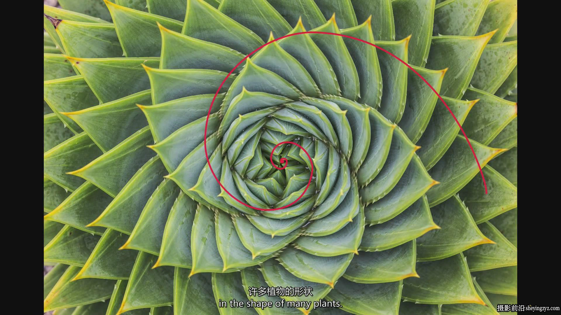 摄影师August Dering掌握摄影构图高质量图像构成完整教程-中英字幕