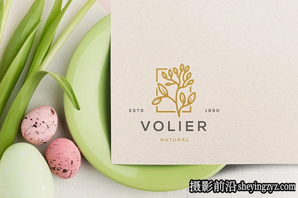 logo标志样机,logo样机