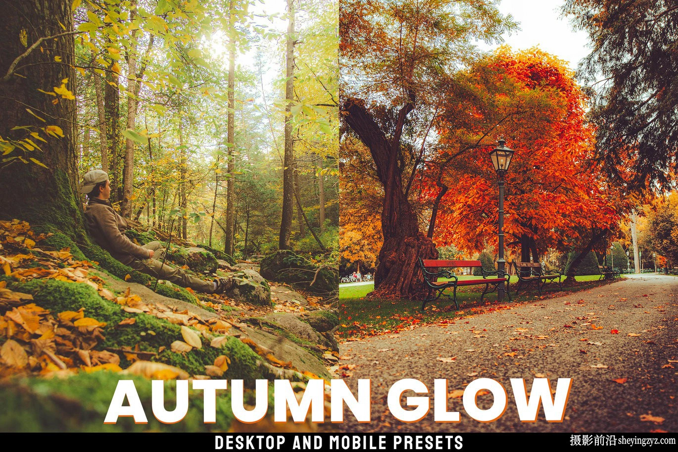 秋季风光人像lr预设及手机lr预设 Autumn Glow Lightroom Presets