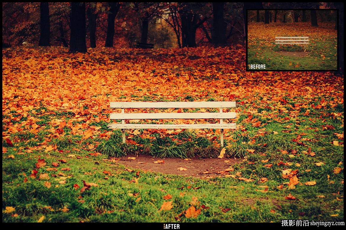 秋季风光人像lr预设及手机lr预设 Autumn Glow Lightroom Presets