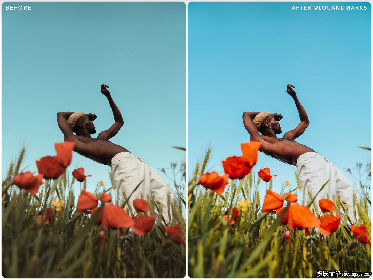 丰富电影色彩Lr预设 LouMarks -Vibrant Film Lightroom Presets
