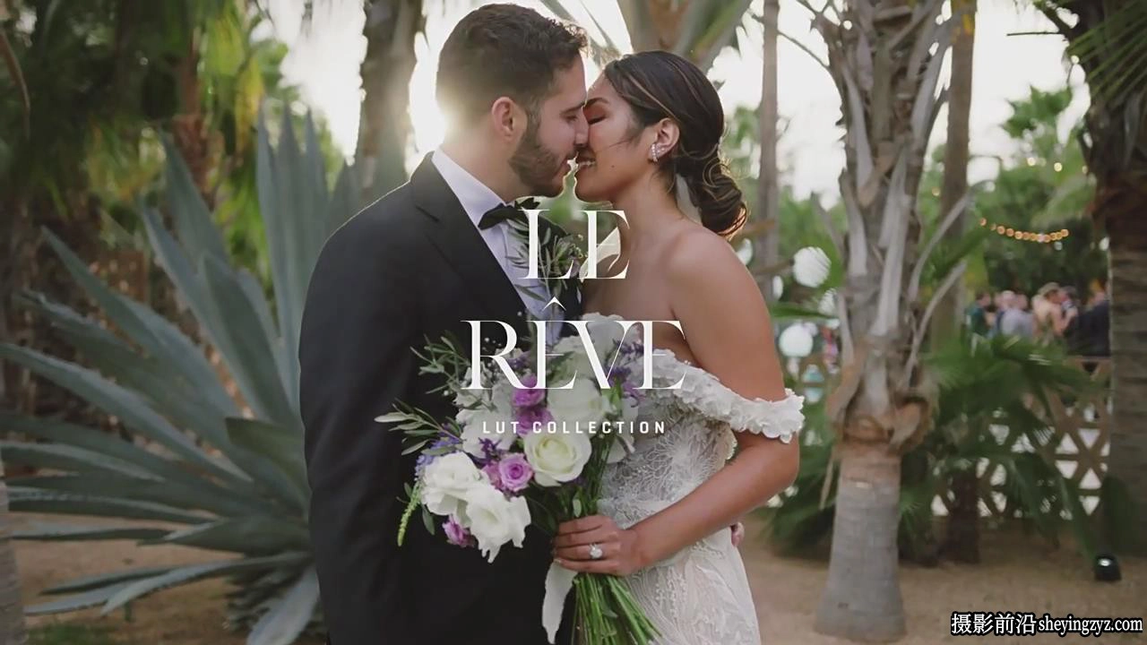6个清新优雅奢华婚礼人像V-log灰片还原LUT调色预设Gamut-Le Reve