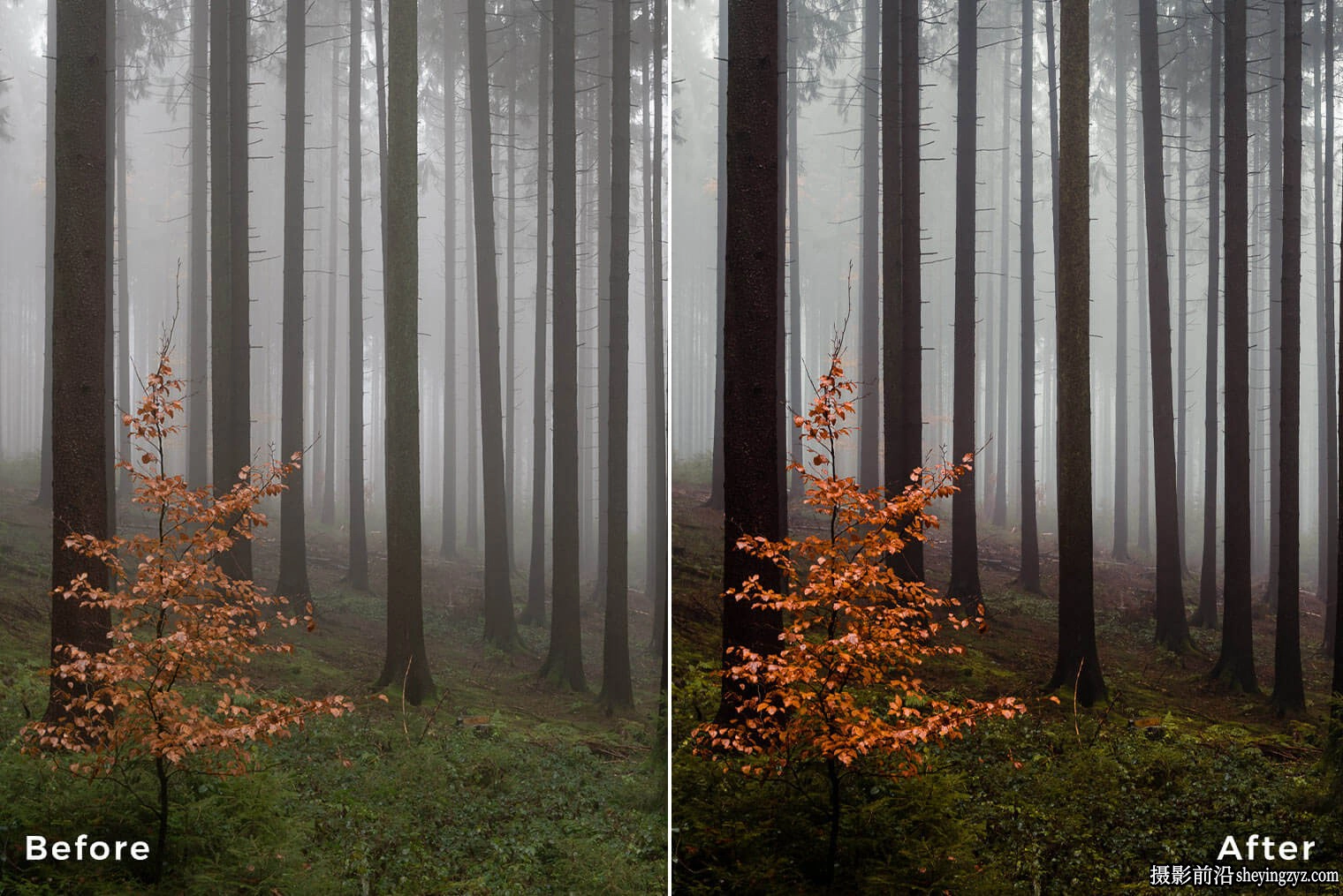 Northlandscapes - 20种风景摄影调色Capture One预设样式Landscape Essentials
