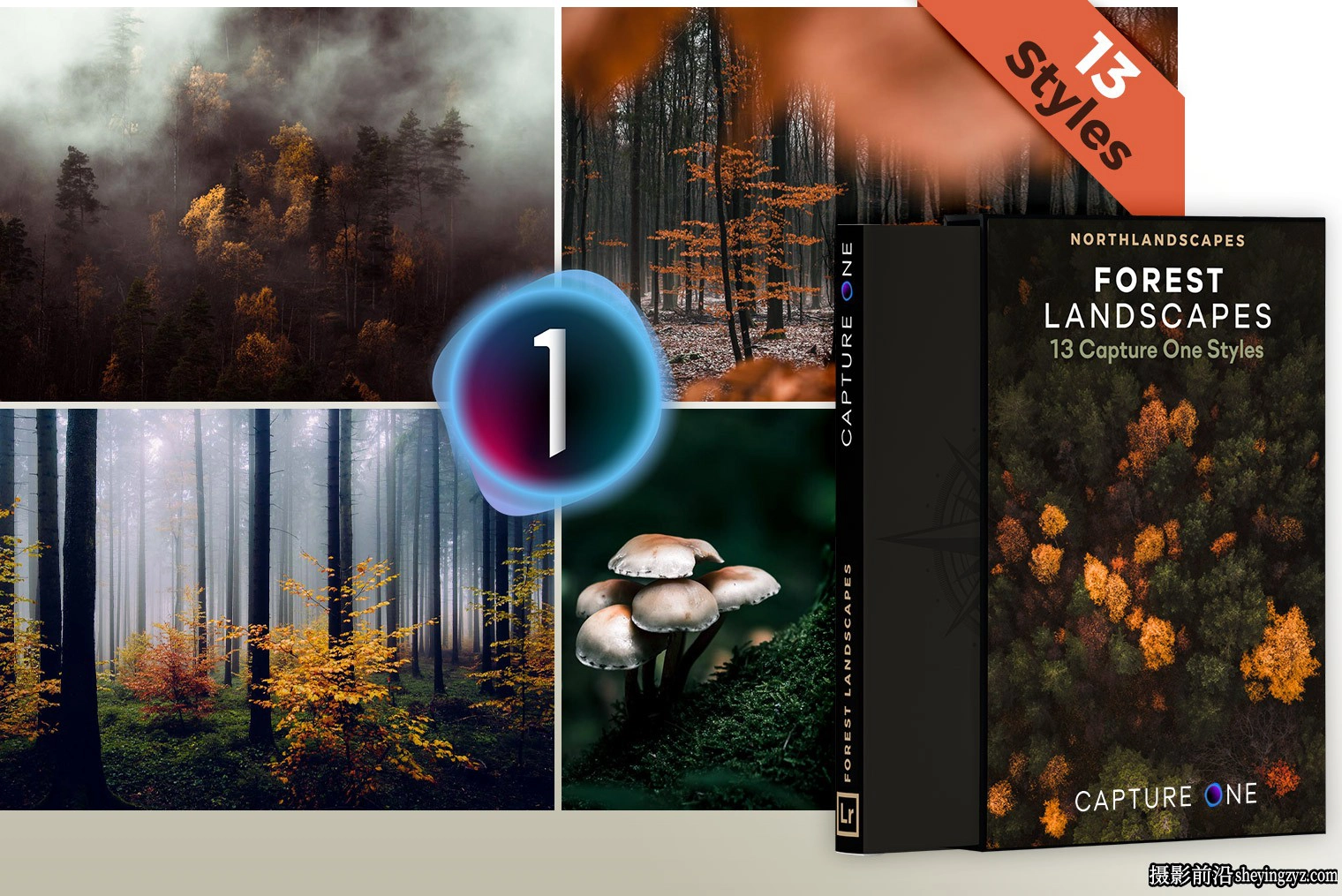 Northlandscapes - 13种森林与自然风光摄影调色Capture One预设样式