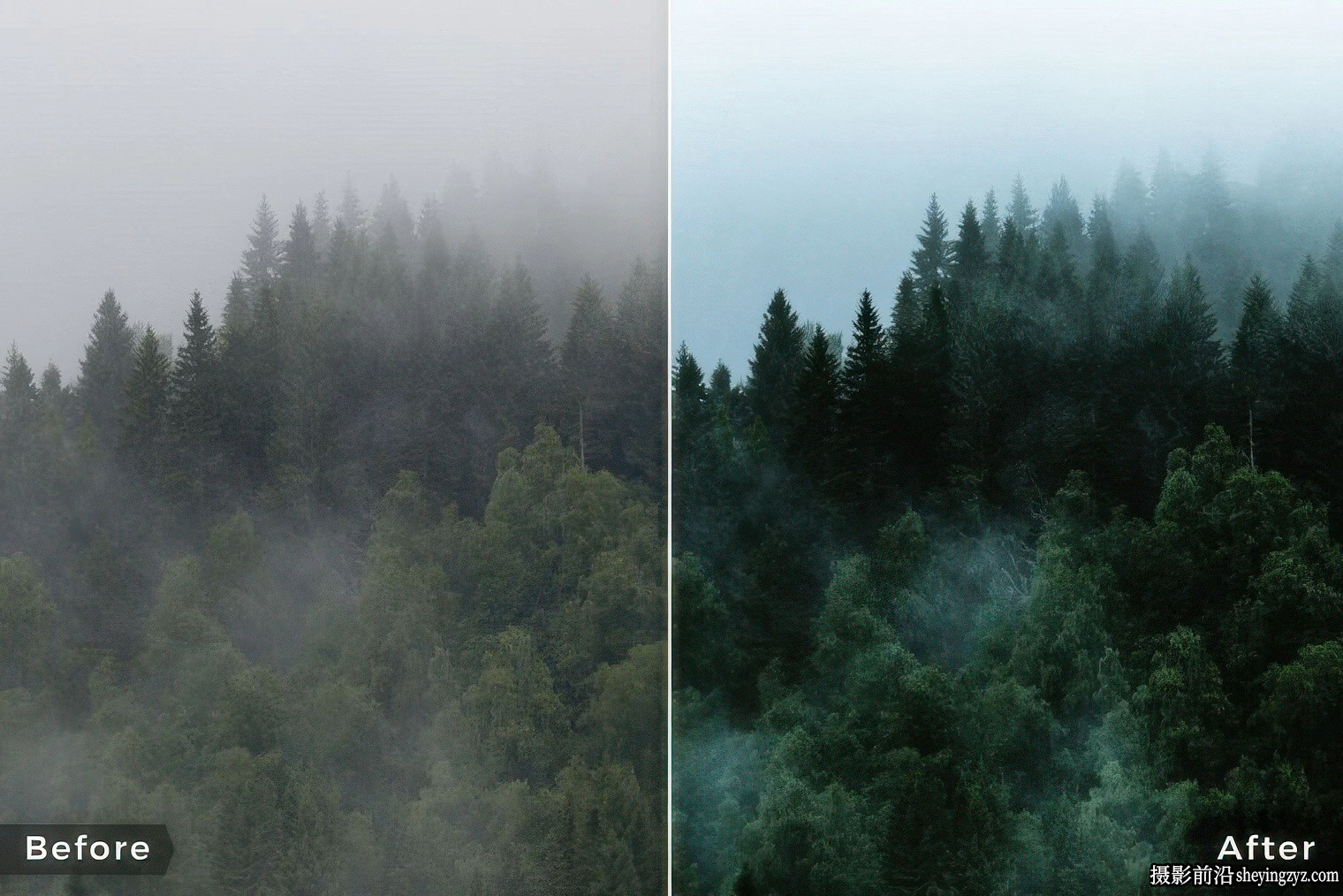 Northlandscapes - 13种森林与自然风光摄影调色Capture One预设样式