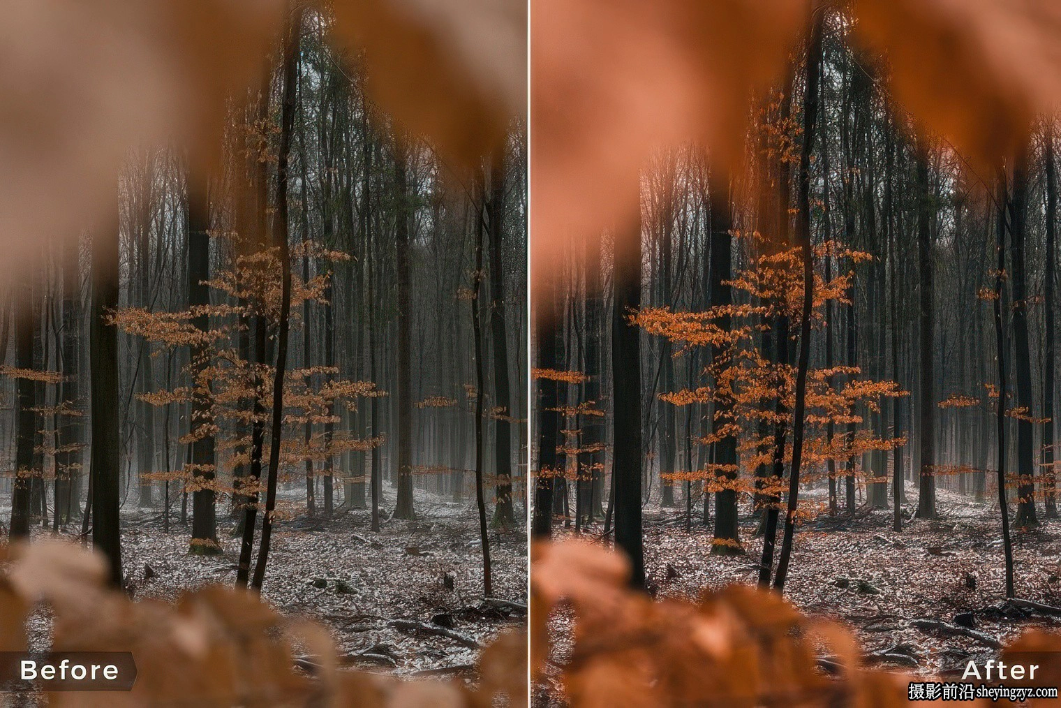 Northlandscapes - 13种森林与自然风光摄影调色Capture One预设样式