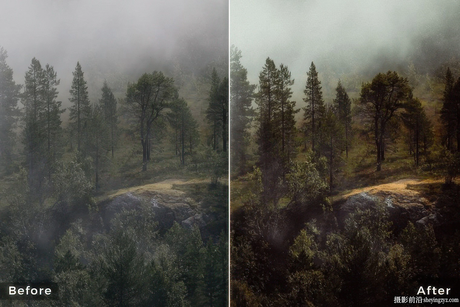 Northlandscapes - 13种森林与自然风光摄影调色Capture One预设样式