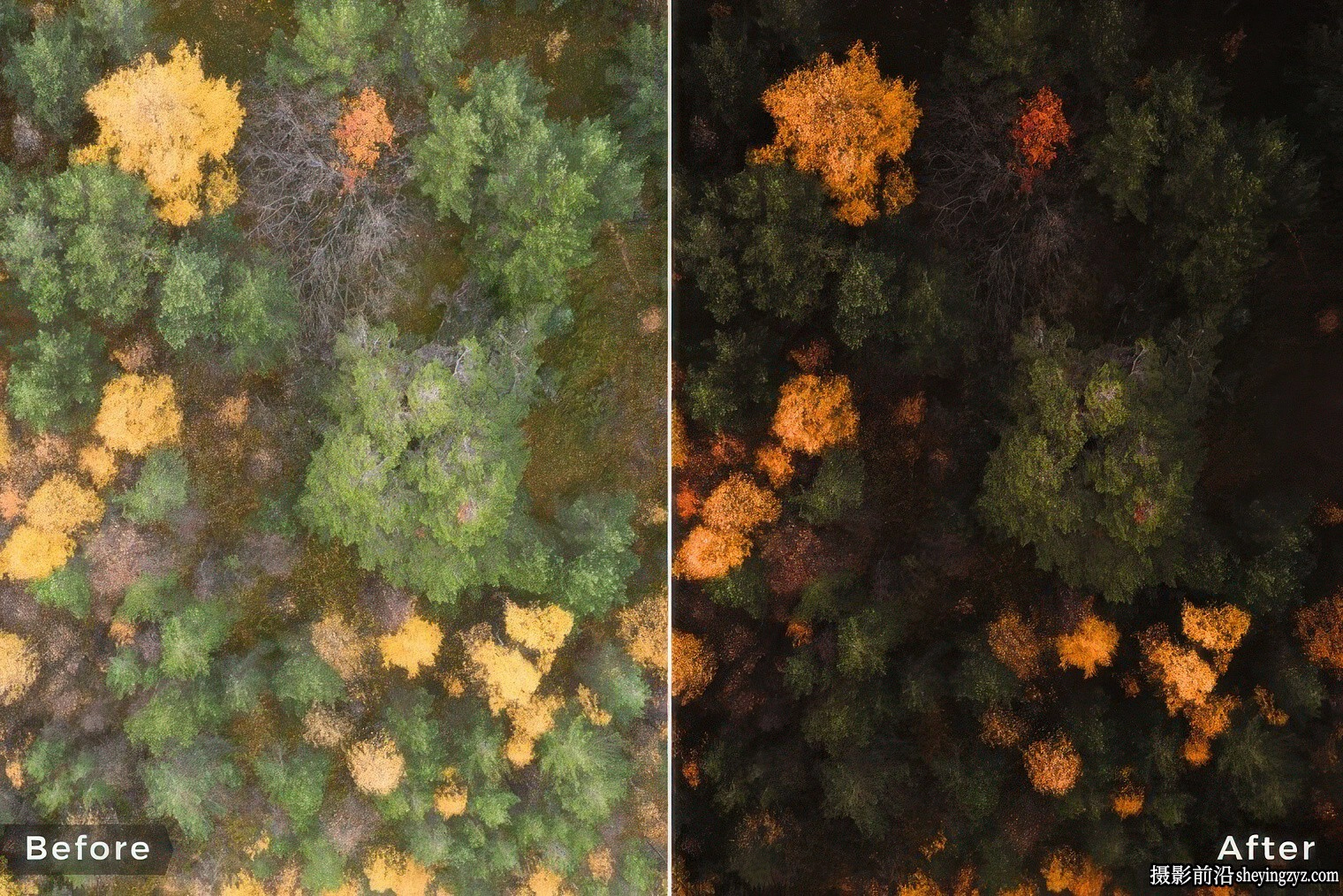 Northlandscapes - 13种森林与自然风光摄影调色Capture One预设样式