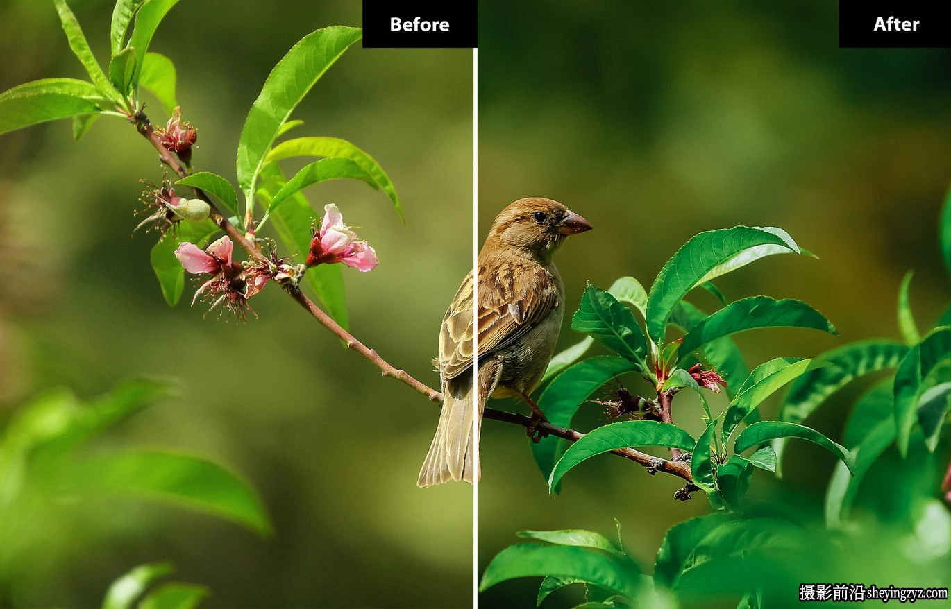 真实电影质感人像色彩Lightroom预设 Blossom Lightroom  Presets
