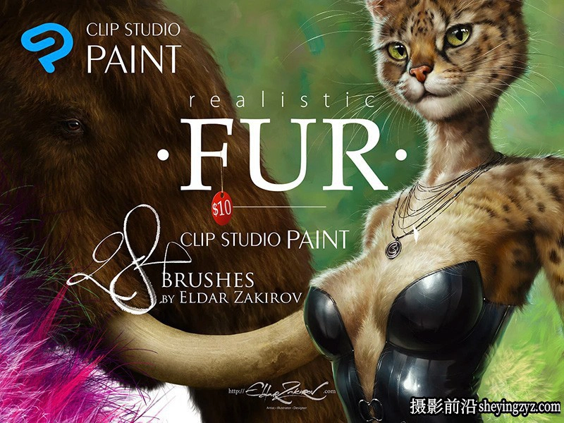 20种PS和Clip Studio Paint逼真的动物毛发画笔套装