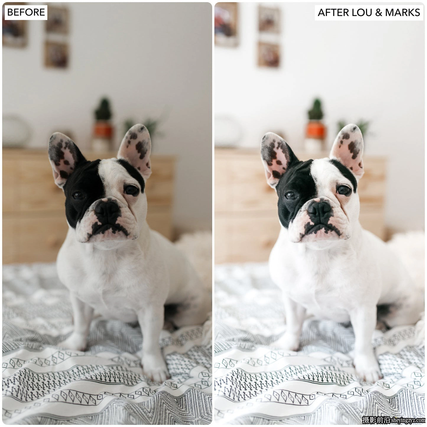 明亮通透家庭人像LR预设 LouMarks -Light Airy Lightroom Presets