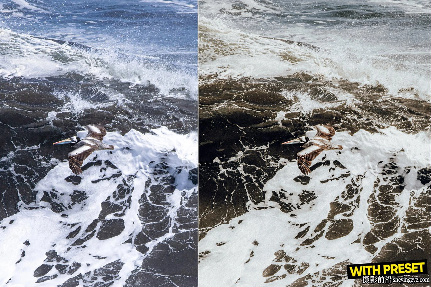 复古人像胶片lr预设及手机lr预设 ARTA-Sand Fade Lightroom Presets