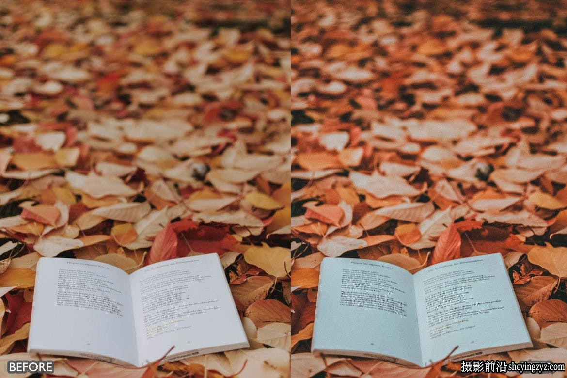 经典秋季电影风光lr预设 Autumn Fall Landscape Lightroom Presets