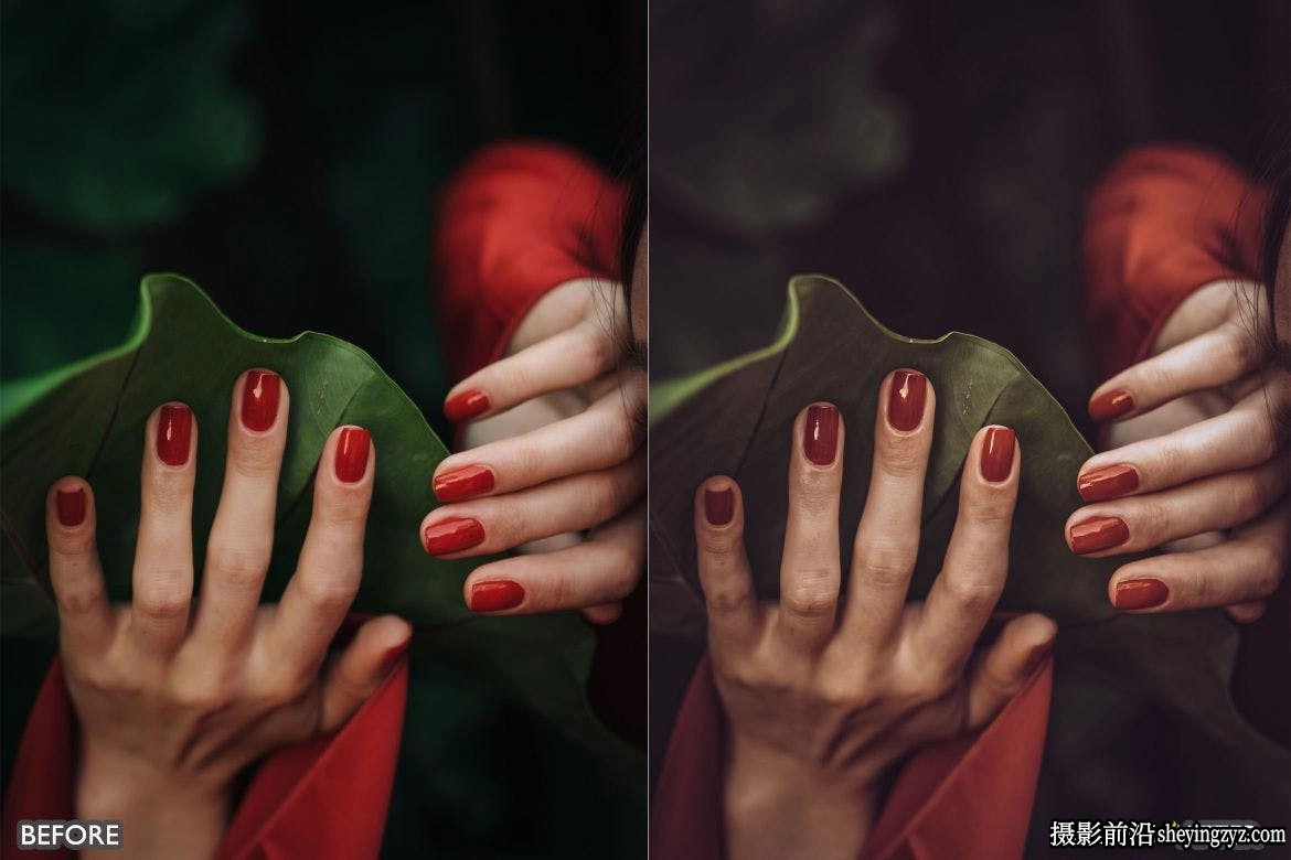 情绪电影胶片人像LR预设 Forest Moody Travel Lightroom Presets