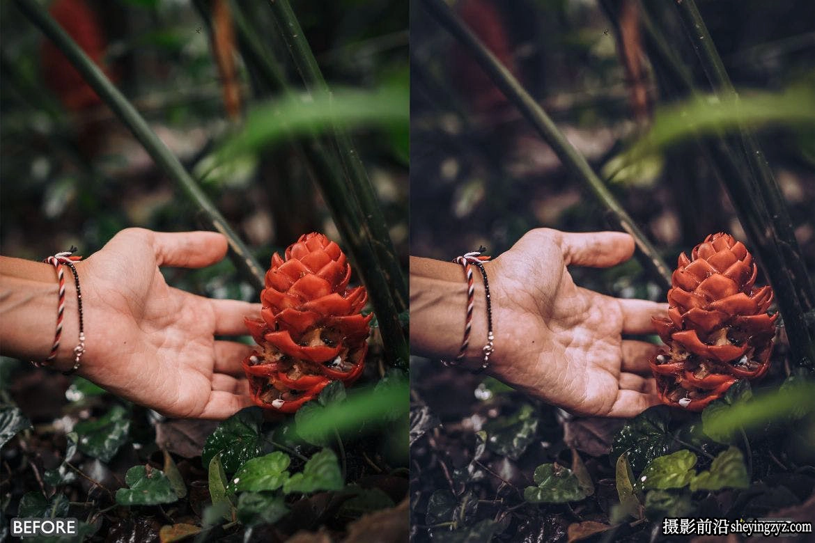 情绪电影胶片人像LR预设 Forest Moody Travel Lightroom Presets