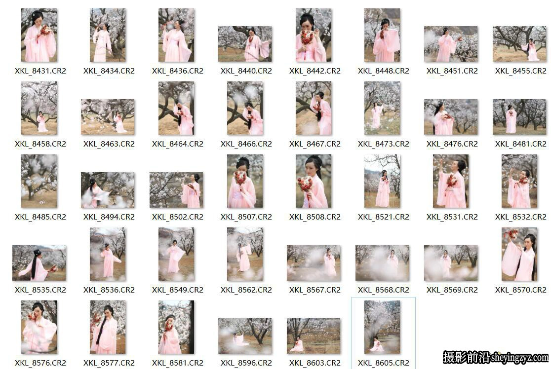 粉红古装美女桃花园写真R人像修图练习AW原图38P