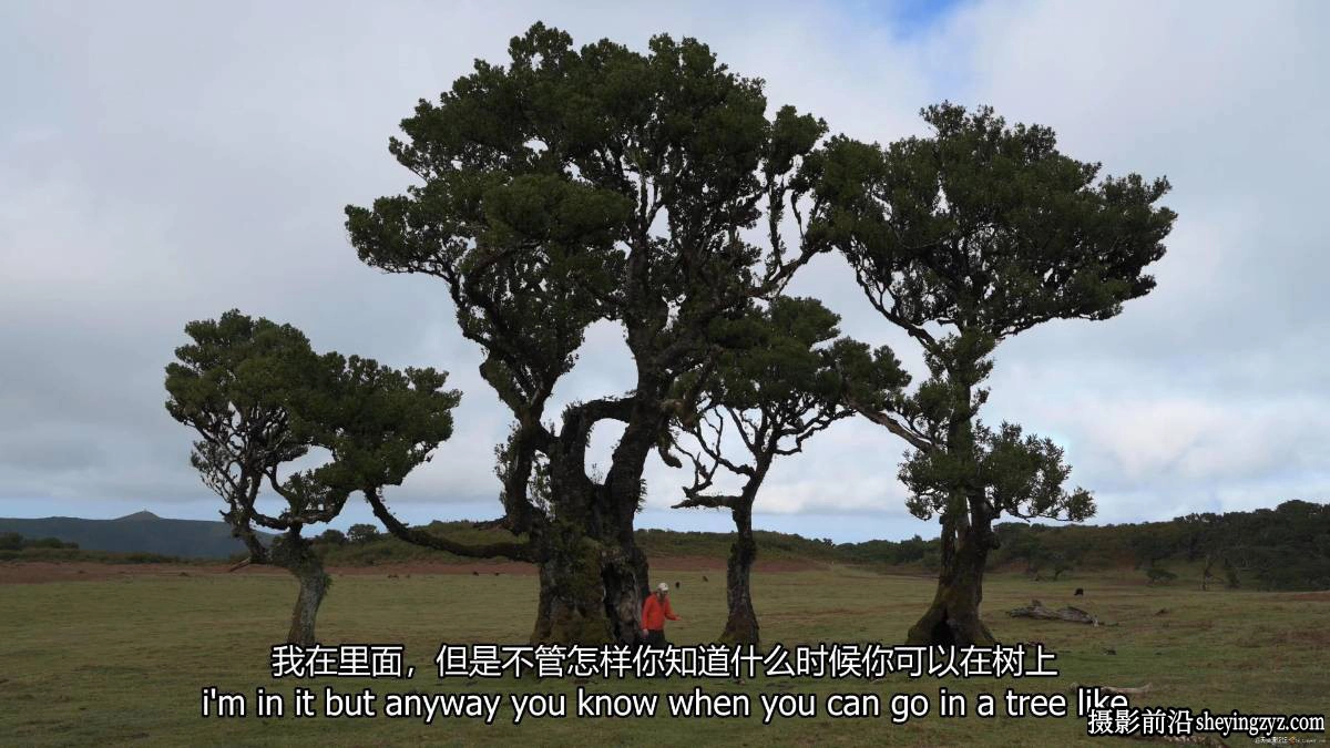 摄影师Nigel Danson掌握远景林地海景风光摄影完整第二季-中英字幕