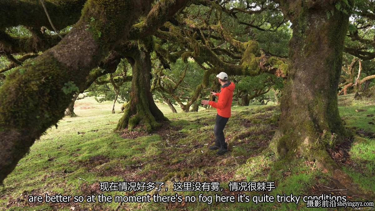 摄影师Nigel Danson掌握远景林地海景风光摄影完整第二季-中英字幕
