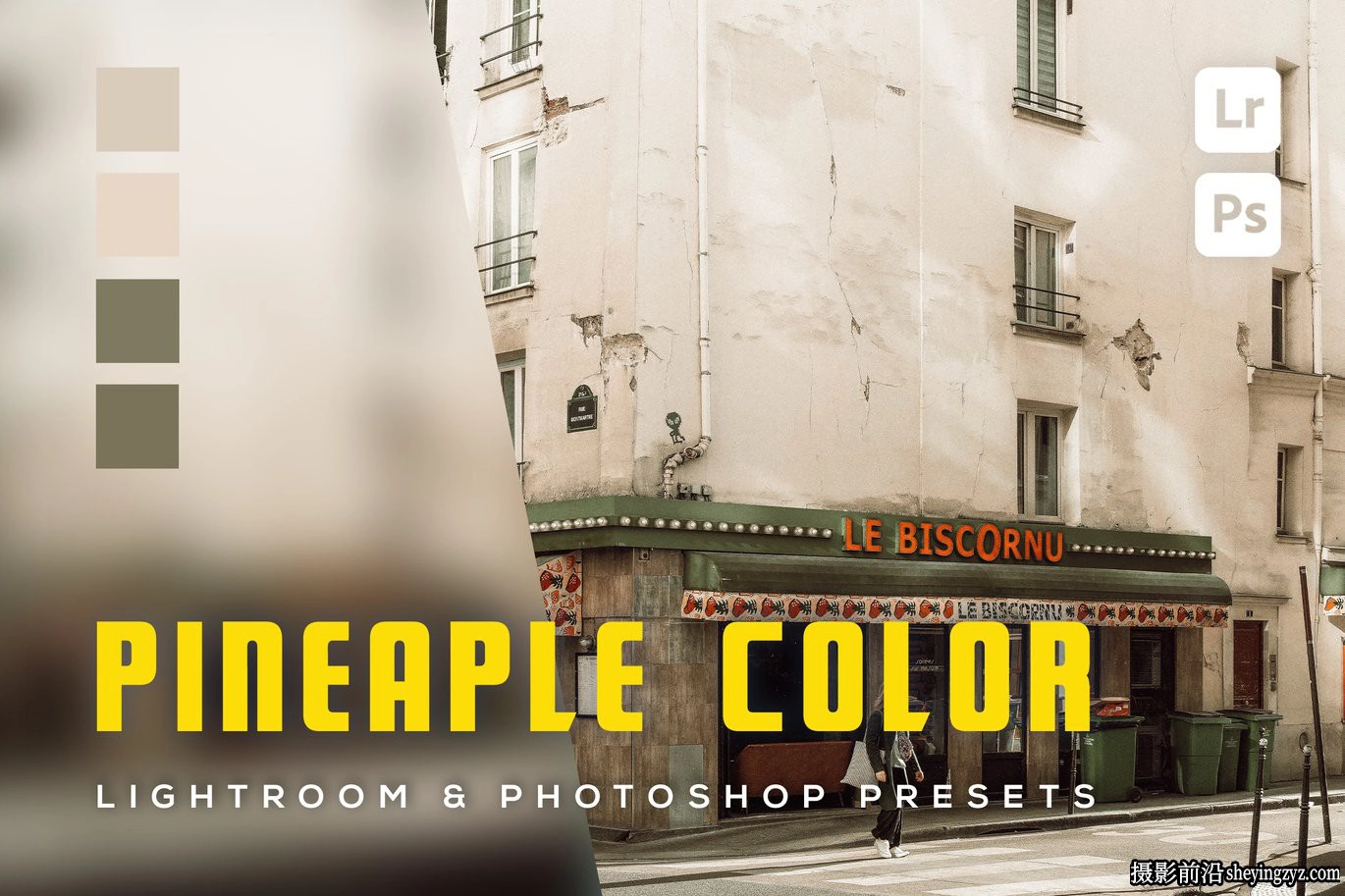 复古胶片色彩lr预设及手机lr预设Pineaple color Lightroom presets