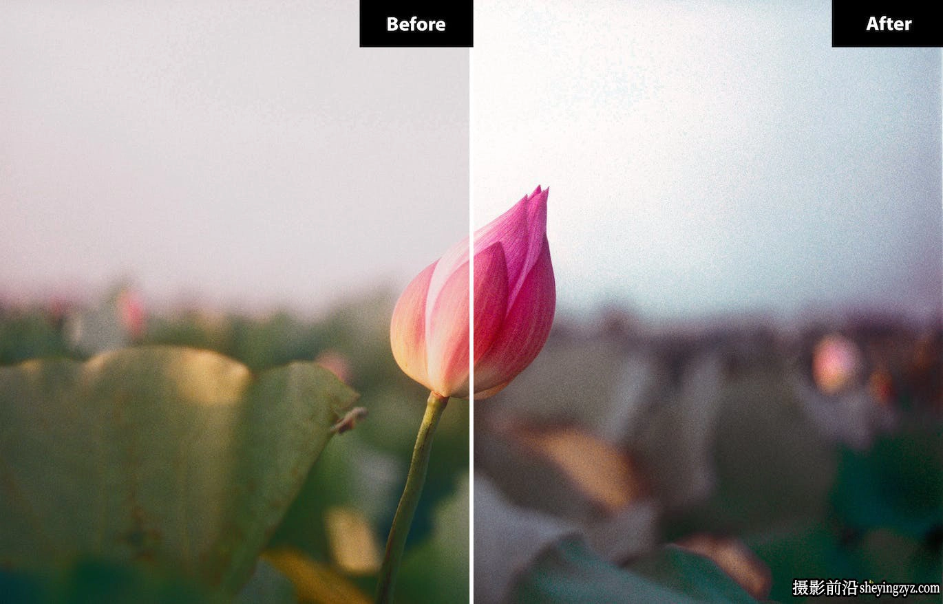 夏日城市旅拍Lr预设及手机lr预设 Summer vibes Lightroom Presets