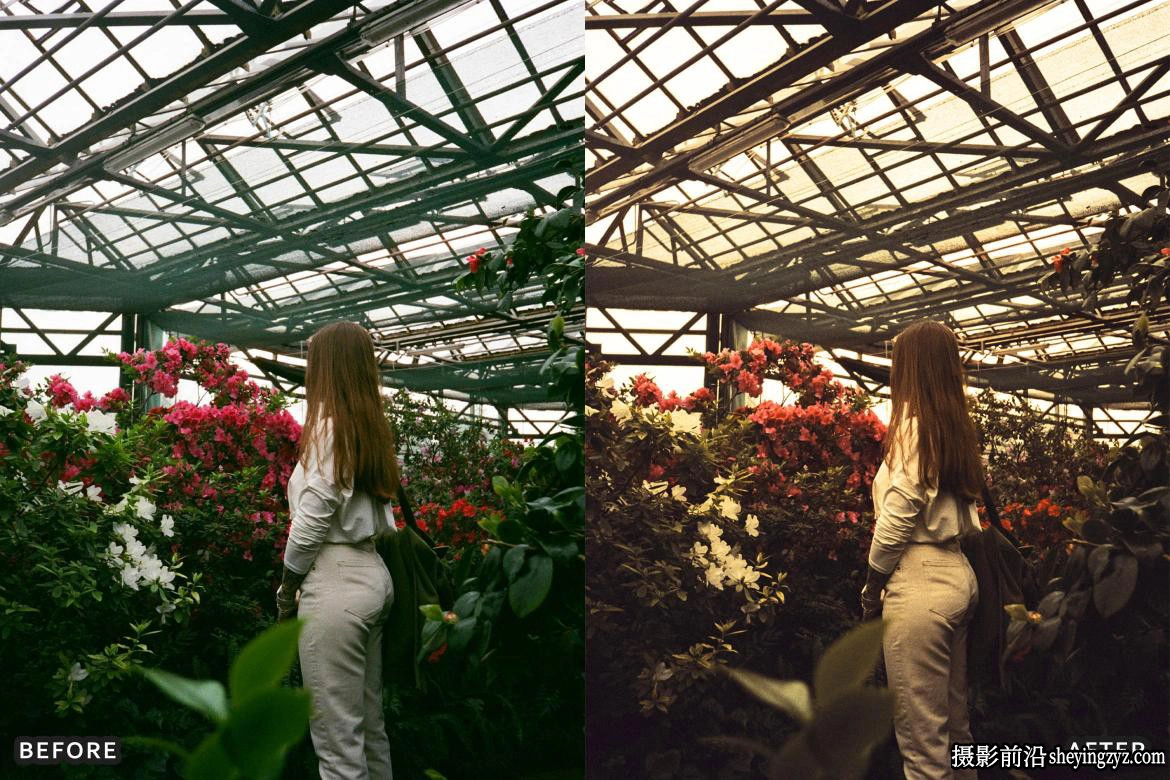 金色复古电影胶片LR预设Golden Film Cinematic Lightroom Presets