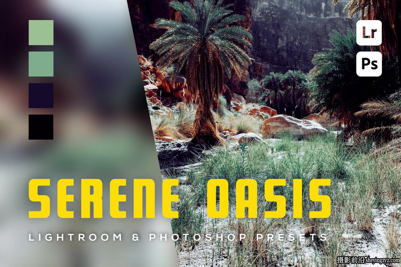旅行电影风光lr预设及手机lr预设 Serene Oasis Lightroom Presets