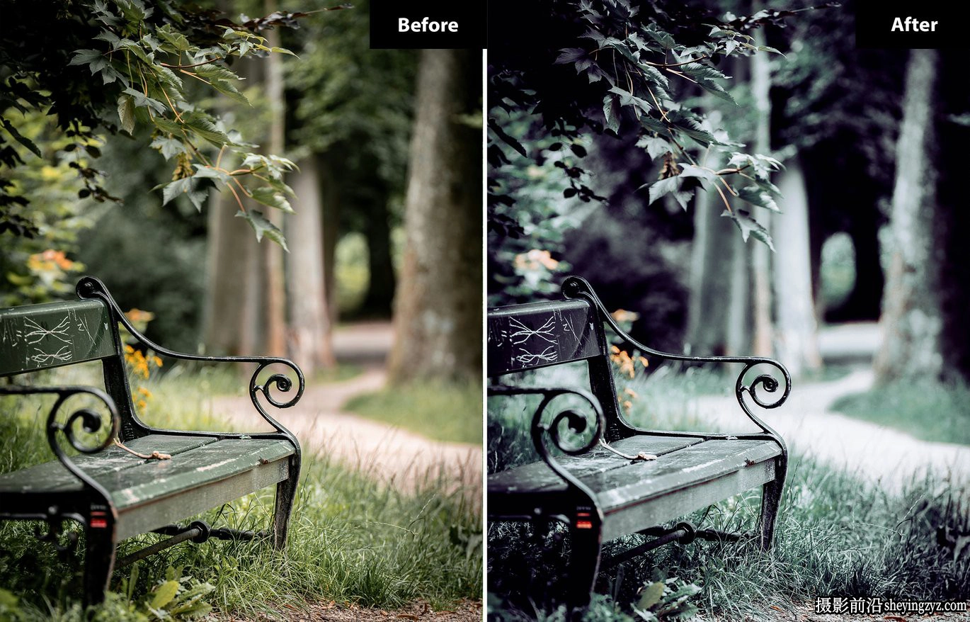 旅行电影风光lr预设及手机lr预设 Serene Oasis Lightroom Presets