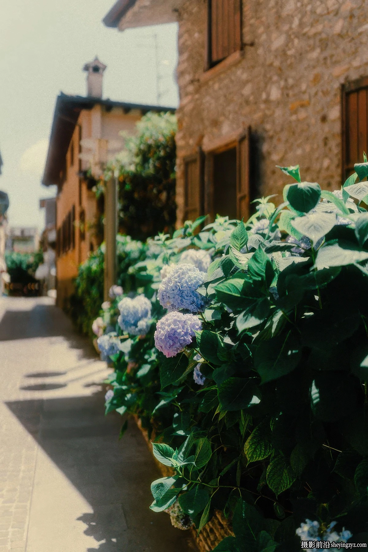 35mm经典电影模拟LR预设及手机lr预设CRAWAT 35MM FILM LOOK PRESETS