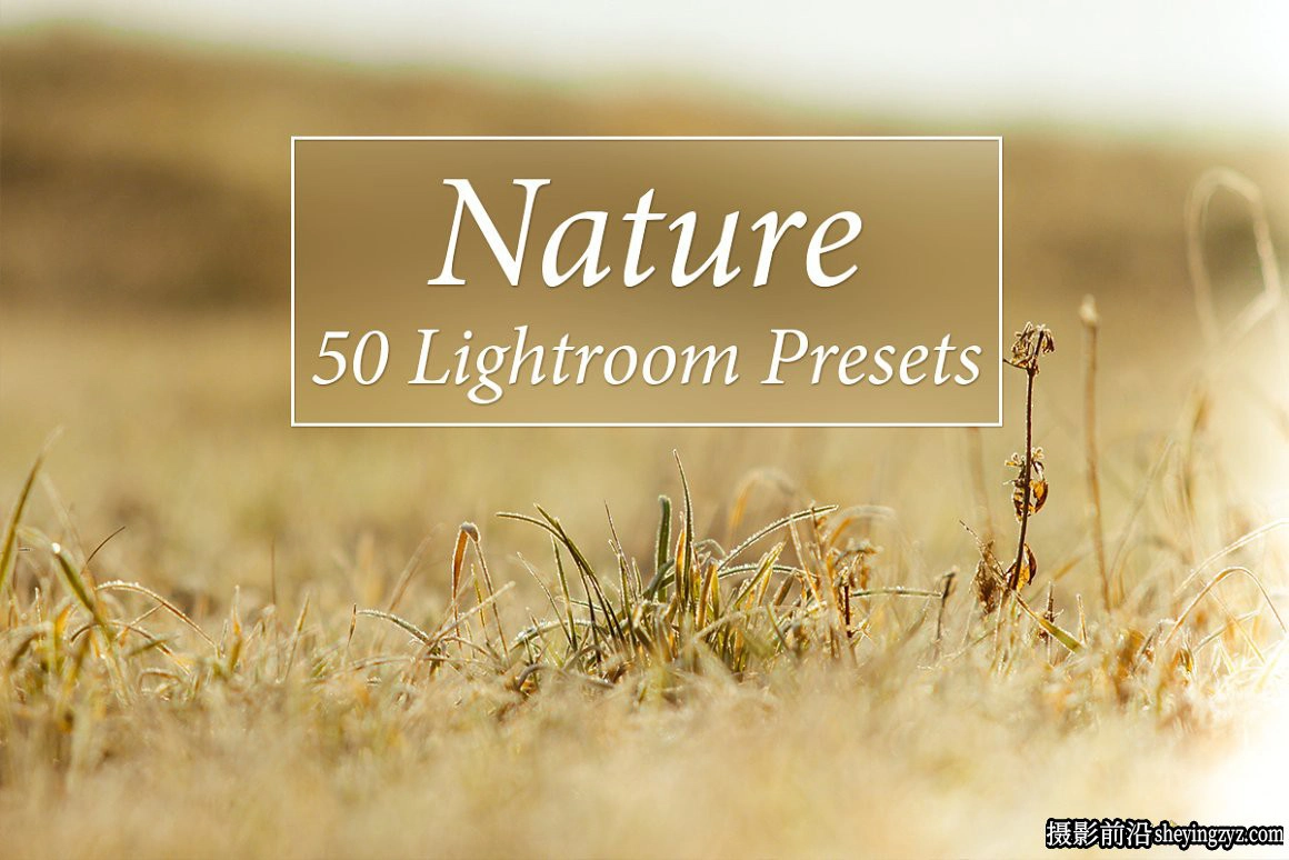 50种自然风光后期调色免费Lightroom预设 Nature Lightroom Presets