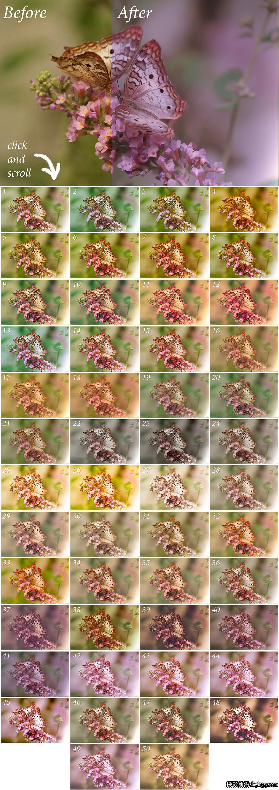 50种自然风光后期调色免费Lightroom预设 Nature Lightroom Presets