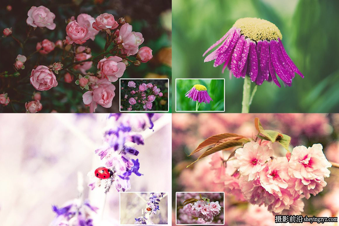 50种自然风光后期调色免费Lightroom预设 Nature Lightroom Presets