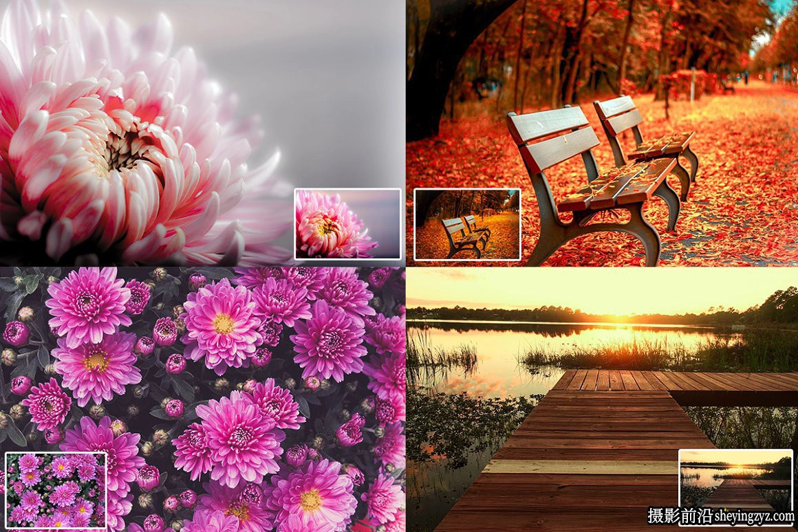 50种自然风光后期调色免费Lightroom预设 Nature Lightroom Presets