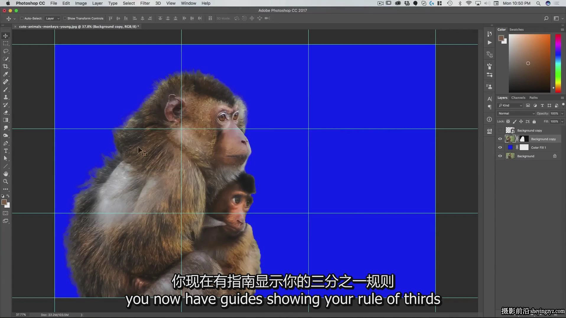 Rikard Rodin-Photoshop创意合成小女孩与母猴教程-独家中英字幕