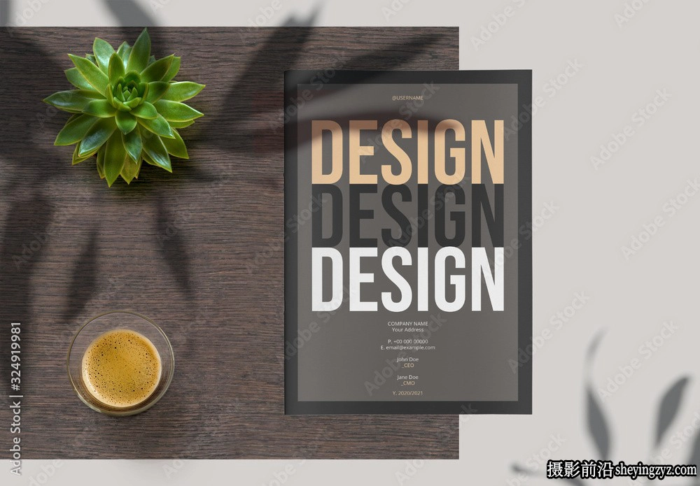 带有棕褐色的设计方案布局InDesign模板