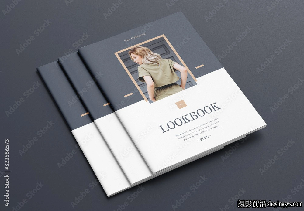 带有灰色和棕色的时尚画册布局InDesign模板