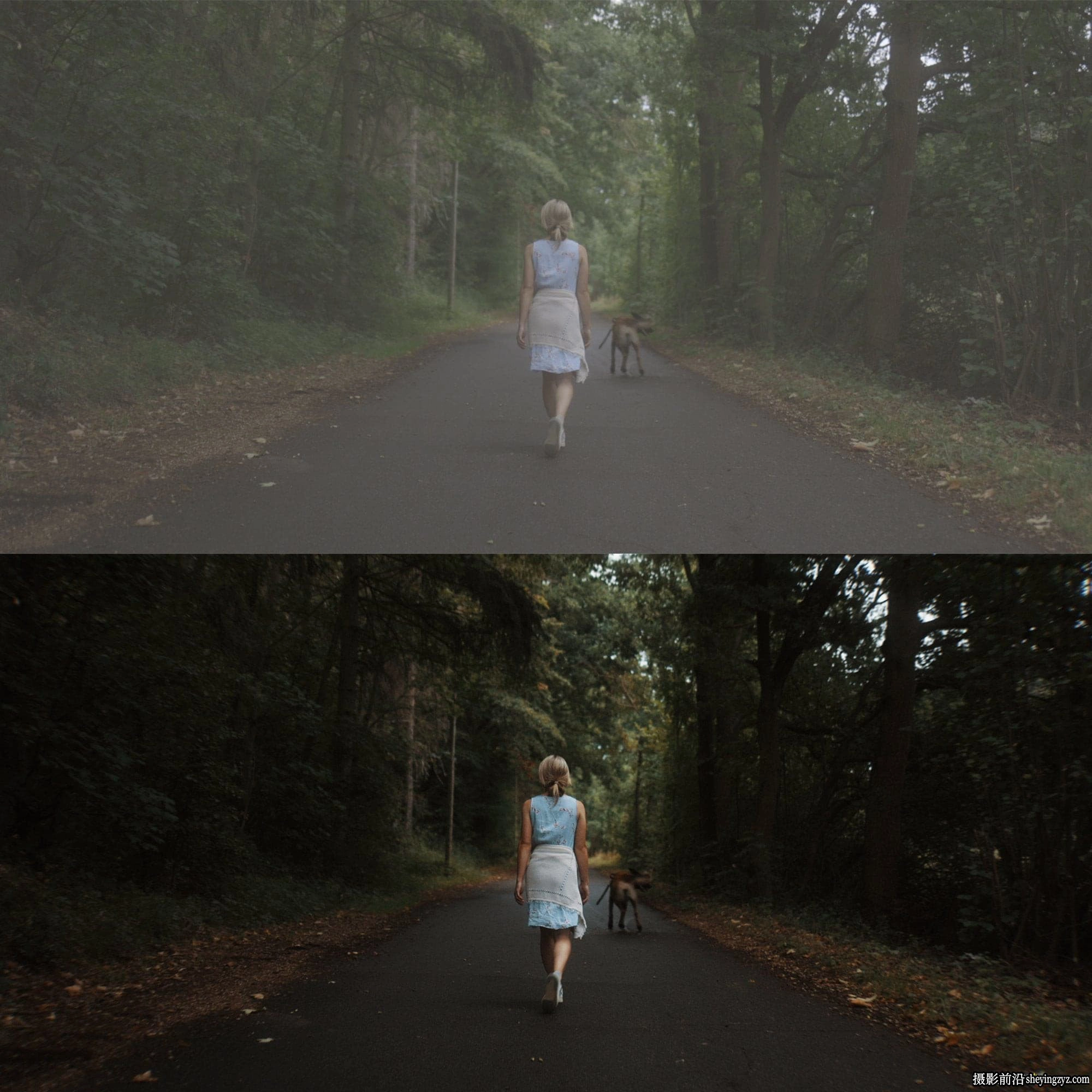 佳能R5/R6色彩还原LUT预设Christian Mate Grab -Canon R5/R6 Cinematic LUTs